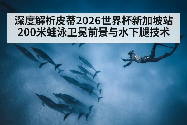 深度解析皮蒂2026世界杯新加坡站200米蛙泳卫冕前景与水下腿技术