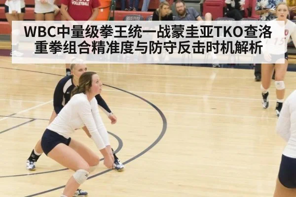 WBC中量级拳王统一战蒙圭亚TKO查洛重拳组合精准度与防守反击时机解析