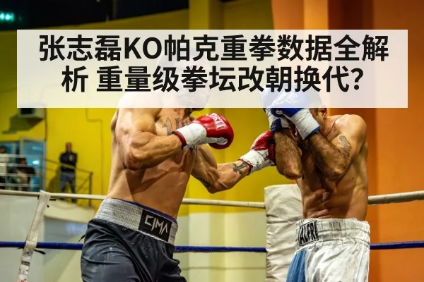 张志磊KO帕克重拳数据全解析 重量级拳坛改朝换代？