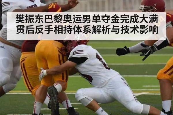 樊振东巴黎奥运男单夺金完成大满贯后反手相持体系解析与技术影响